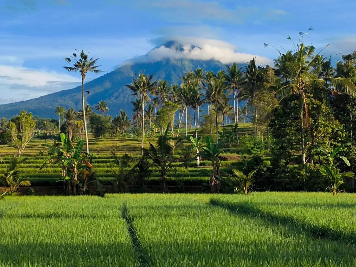 Sawah Ijen 호텔 Licin 외부 사진
